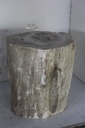Raw Edge Petrified Wood Stump - Natural Light