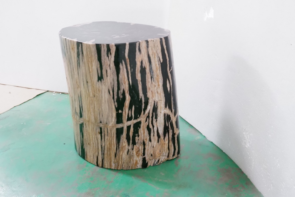 Polished Petrified Wood Stump - Natural Dark