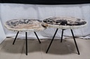 Sylvie Nesting Table (set of 2) - Natural Dark