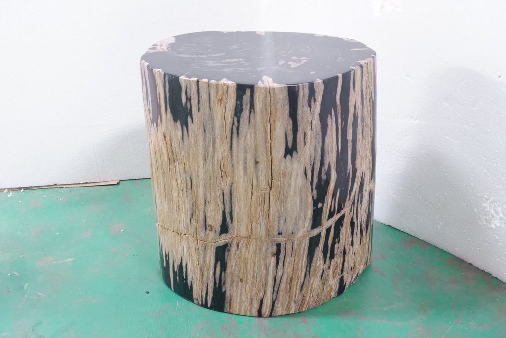 Polished Petrified Wood Stump - Natural Dark